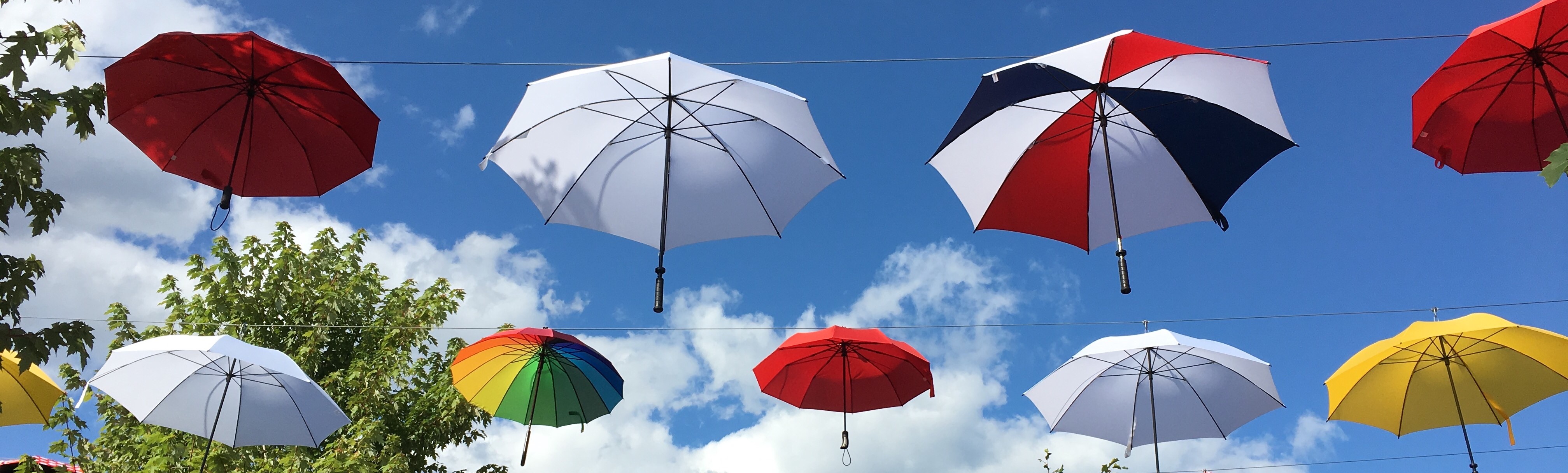 Acadian coloured umbrellas